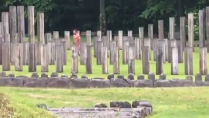 Un star de la Hollywood, filmat în timp ce dansa gol la Sarmizegetusa Regia. ”Trimite jandarmii!”