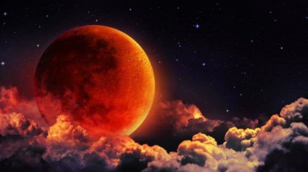 Descoperire fabuloasă făcută de cercetători. Nici nu îți imaginai că este posibil așa ceva 