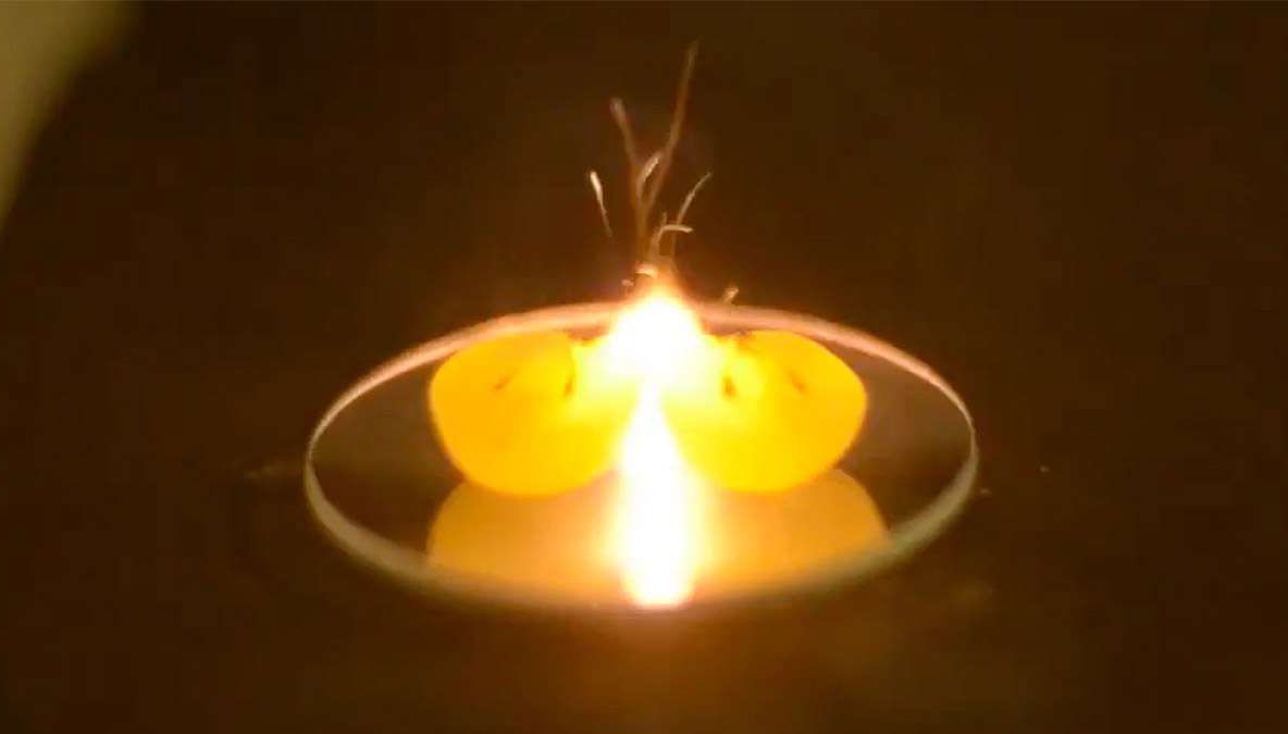 Cel mai tare experiment pe care să-l faci acasă: cum obții plasmă? 