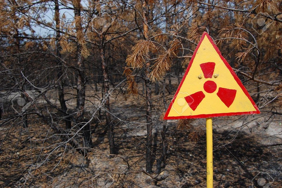 Prima dronă trimisă în pădurea "zombie" de la Cernobîl. Șocant ce au găsit oamenii de știință