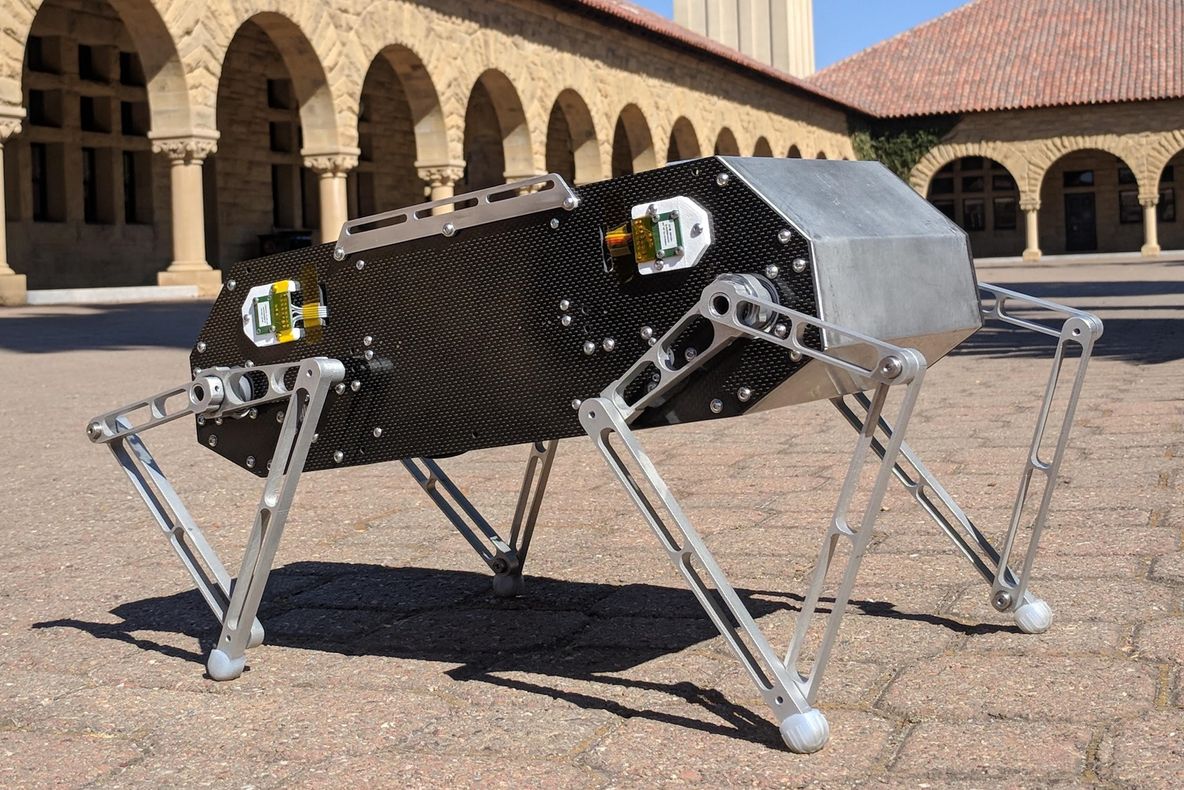 Cel mai tare gadget al momentului: robotul pe care ți-o construiești chiar acasă