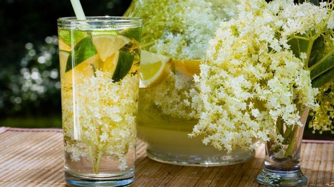 Socata - băutura minune a primăverii: întărește sistemul imunitar și te ajută să slăbești. Rețeta tradițională