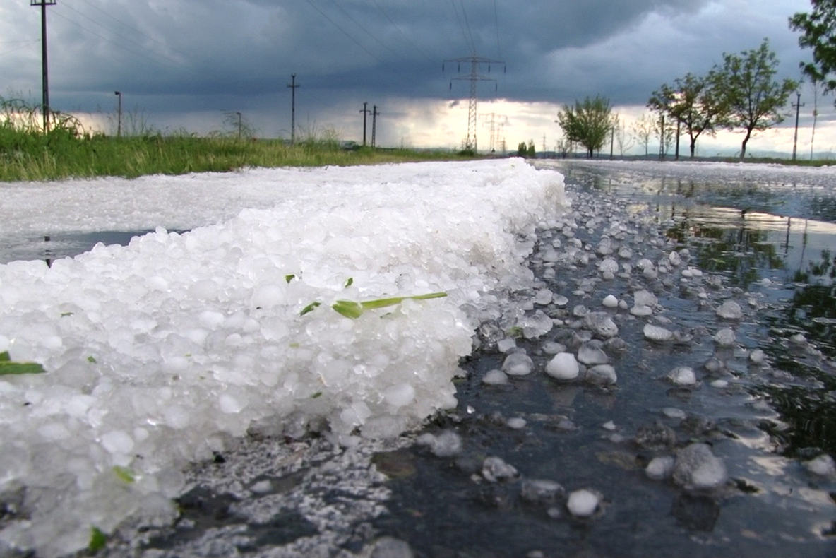 Imaginile prăpădului în Dâmbovița: strat gros de gheață, culturi devastate