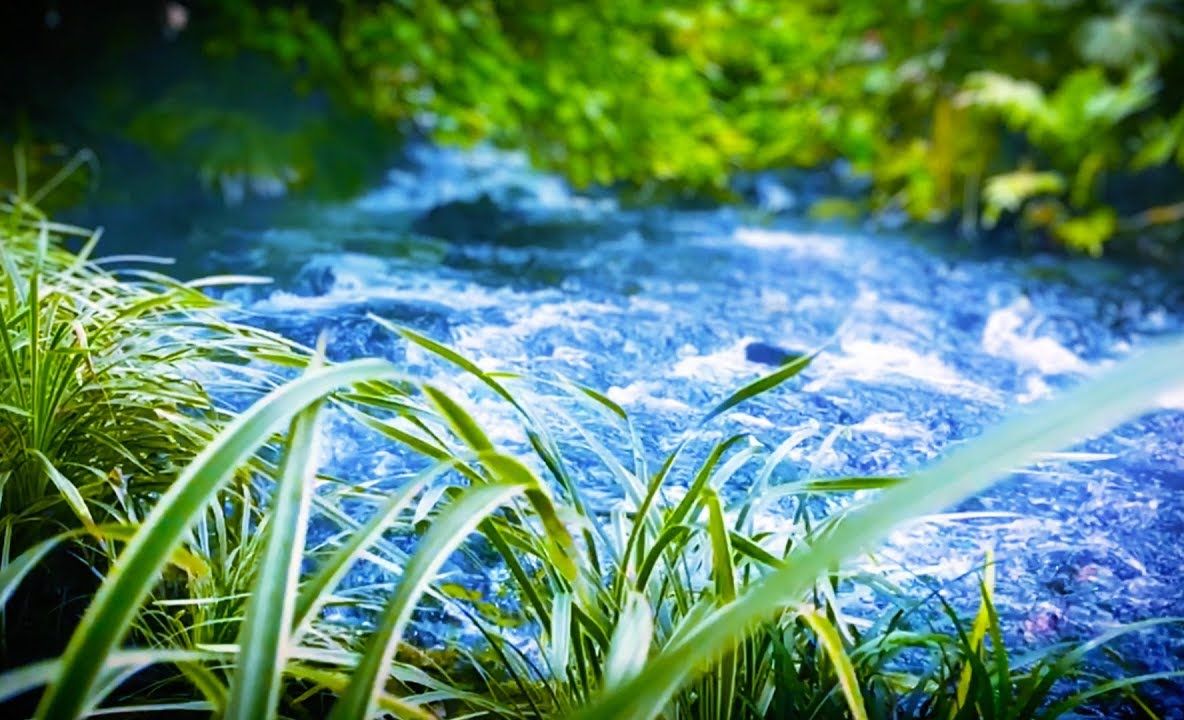 Dispozitivul revoluționar care ar putea transforma aproape orice apă într-una bună de băut