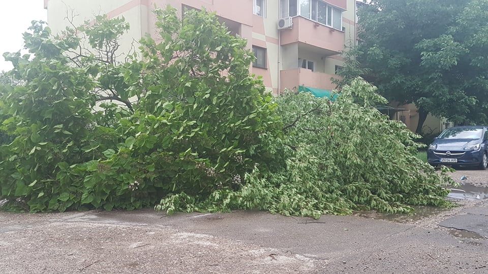Prăpăd făcut de furtună în Focșani. Copaci căzuți, acoperișuri luate de vânt