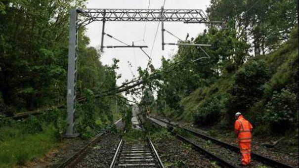 Un copac căzut a blocat circulația pe DN7 și traficul feroviar. UPDATE