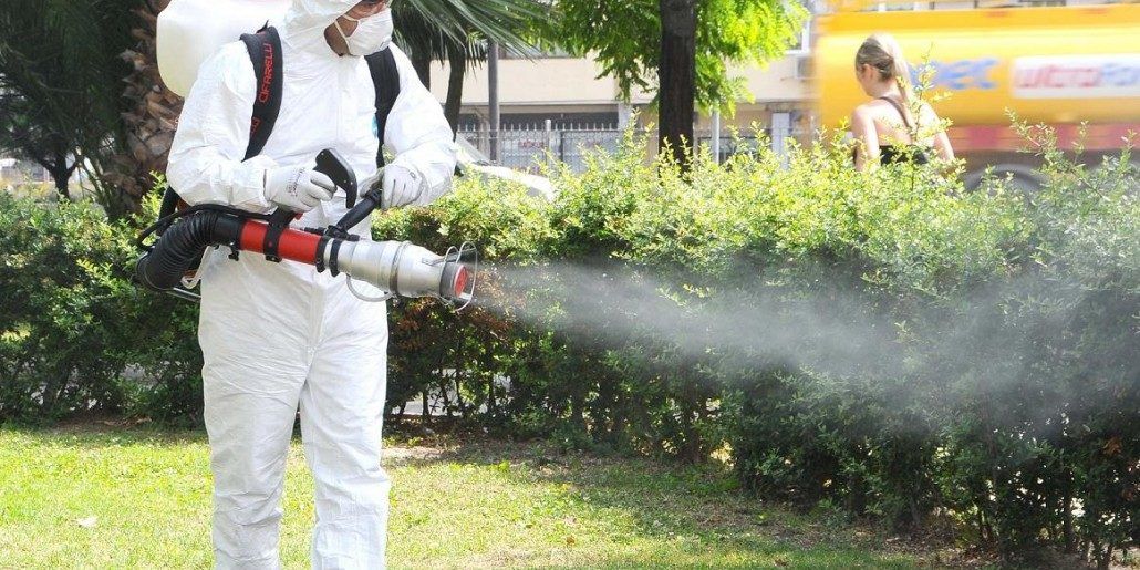 Primăria Capitalei a pus gând rău clebrului "tigru al platanului", căpușelor și țânțarilor