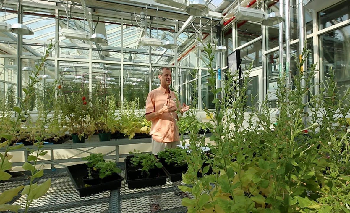 Cercetarea care îți arată când a început, de fapt, evoluția pe Pământ spre ce știm azi