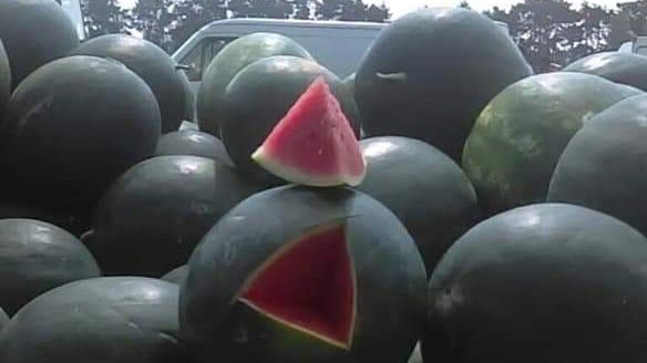 În sfârșit. Singurul mod clar în care poți recunoaște pepenii de Dăbuleni la piață