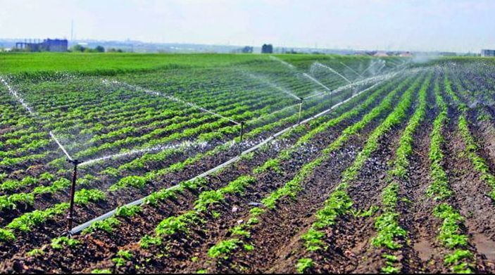 Fermierii au la dispoziţie 200 mil. euro pe an pentru investiţii în infrastructura de irigații