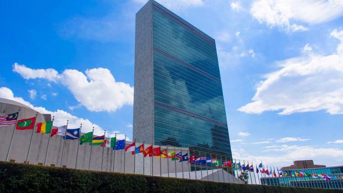 Meleșcanu admite: relațiile proaste cu statele arabe au cauzat eșecul României la ONU