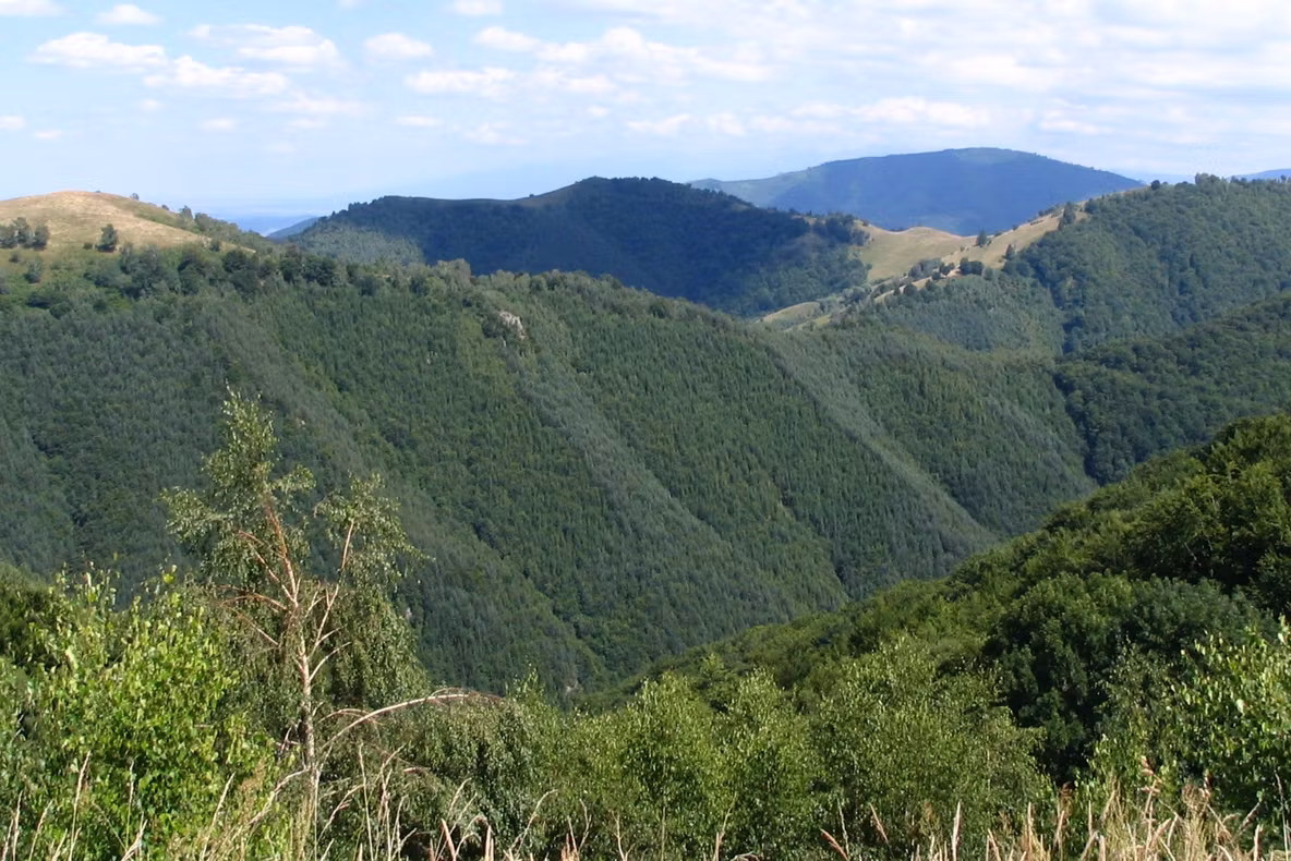 Doi turiști belgieni, rătăciți în zona Păltiniș