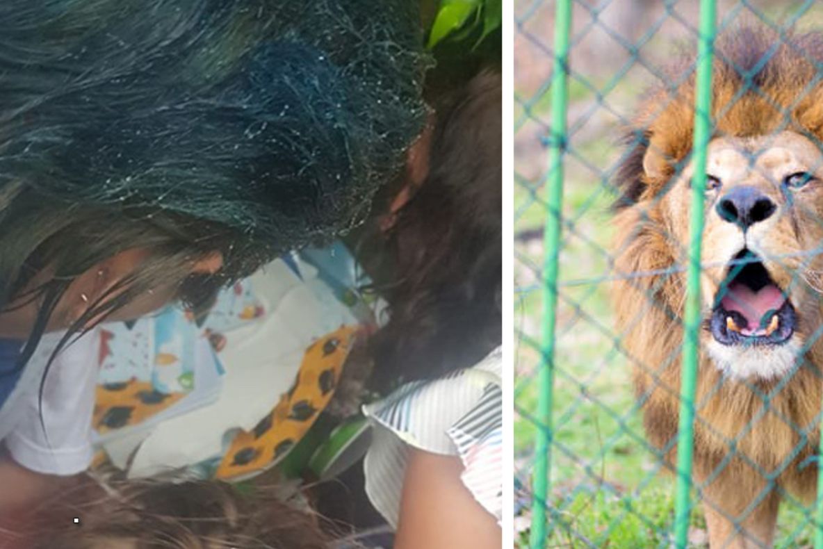 50 de copii au trecut prin scene de coșmar la Grădina Zoologică din Reșița. Directorul a demisionat