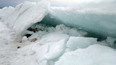 Descoperire tulburătoare în permafrostul din Siberia. Stătea acolo de 40.000 de ani