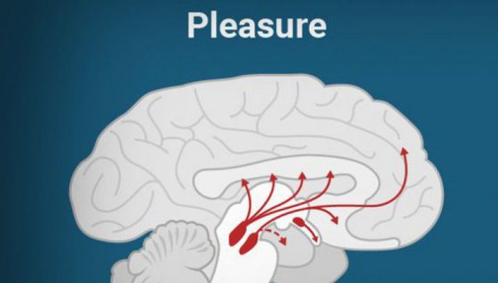 Ce produce la fel de multă plăcere ca un act sexual. E la îndemâna oricui 