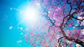 VREMEA la început de weekend 7-9 iunie