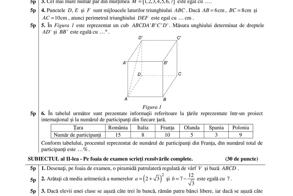 Subiecte Matematică Evaluare Națională 2019: Modele subiecte