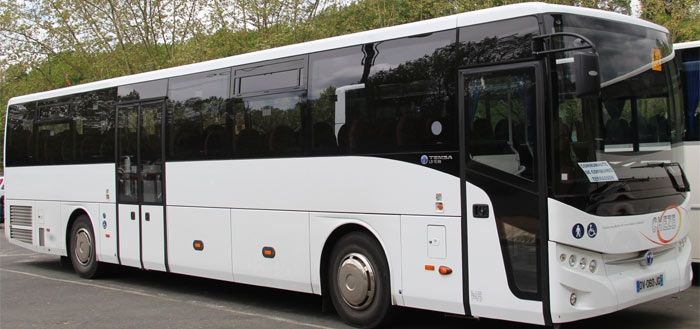 Turcii mai câștigă o licitație în România. MAI dă 46 de milioane de euro pe 326 de autobuze