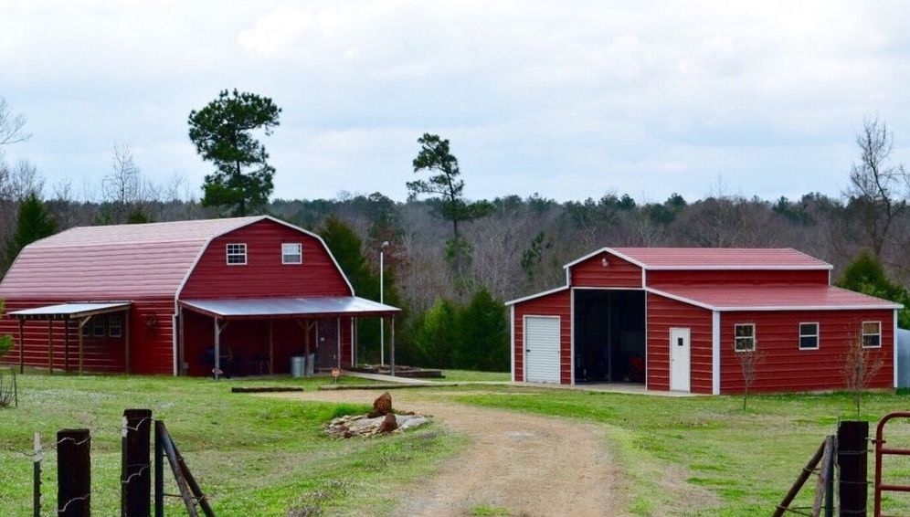 Legătura bizară între vopsea și stele pe cale de dispariție, așa cum e explicată de știință