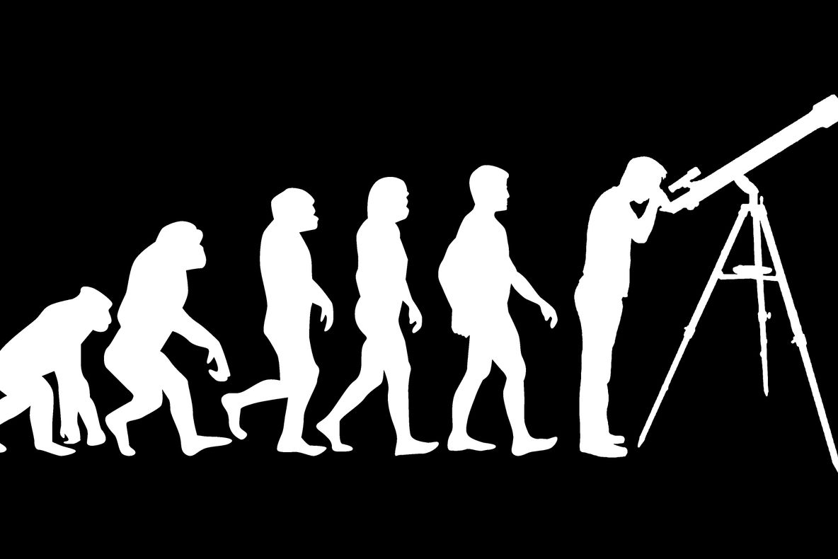 Craniul acesta îți arată mai bine cum a avut loc evoluția oamenilor