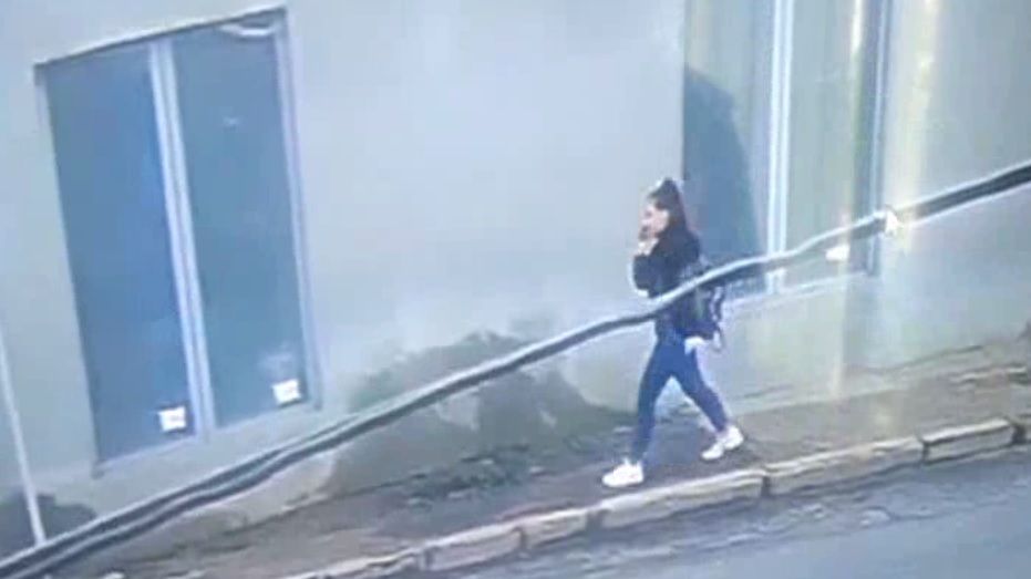 Ultimele imagini filmate cu Luiza Melencu. Ce făcea, înainte să fie ucisă