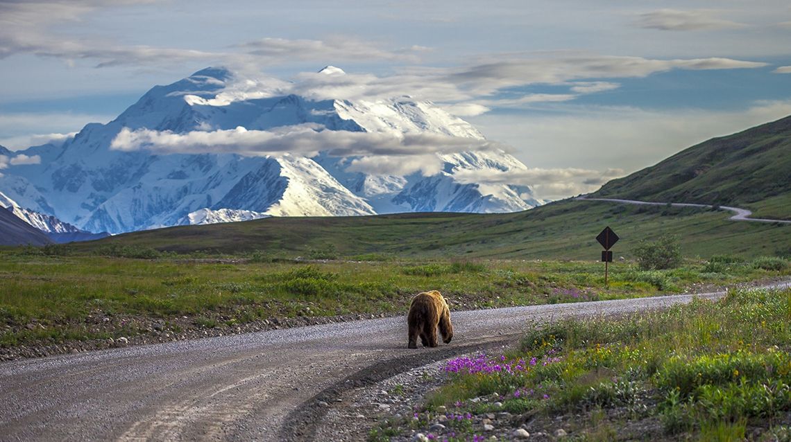 Alaska, dată peste cap de încălzirea globală: incredibil până unde au ajuns temperaturile acolo