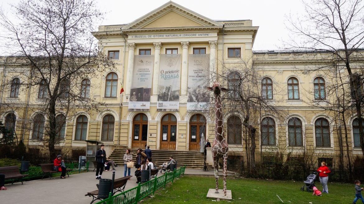 Academia Română: Muzeul Holocaustului în curtea Muzeului Antipa, idee inadecvată și păguboasă