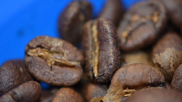 Cum este afectată cafeaua de schimbările climatice