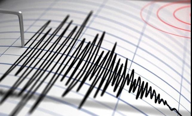 Cutremur în această dimineață, în județul Buzău