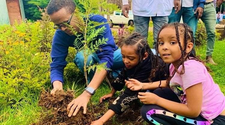 Record fabulos: Etiopia a plantat peste 350 milioane de copaci într-o singură zi