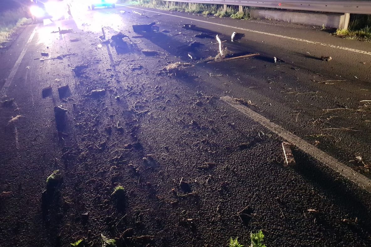 Băiețelul de 8 ani din "căruța morții" nu a mai putut fi salvat