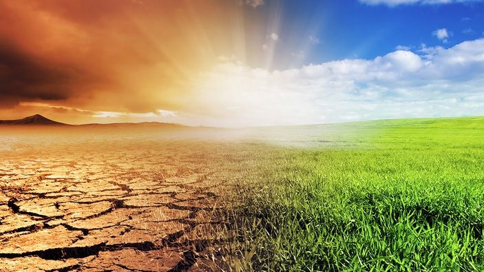 Parlamentul European declară situația de urgență privind clima