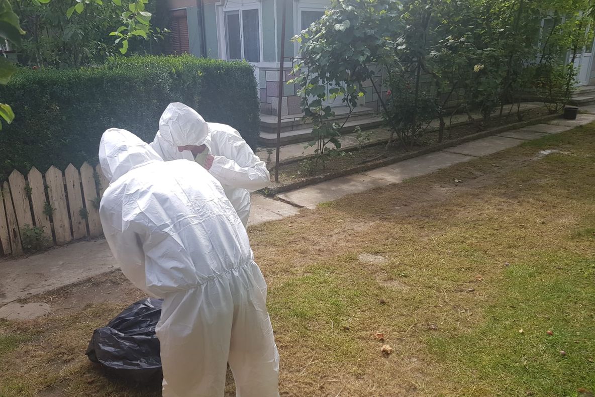 Pesta porcină face ravagii în județul Prahova! Noi cazuri confirmate