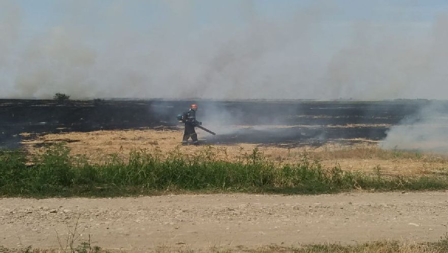 Incendiu de vegetație URIAȘ lângă Capitala. Limitele de poluare, DEPĂȘITE