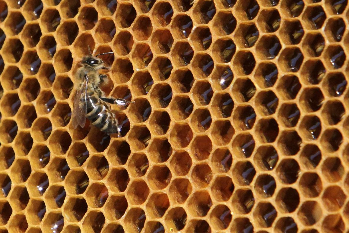 Cum reacționezi când vezi astfel de poze? Dacă te ia cu amețeală, suferi de această fobie