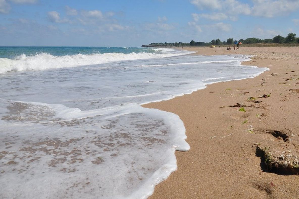 Premierul bulgar îi acuză pe turiștii români că au dus pesta porcină peste graniță. Răspunsul MAE