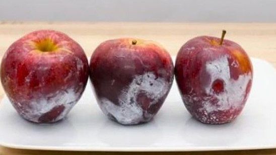 A turnat apă clocotită peste merele din supermarket. Așa a descoperit adevărul oribil