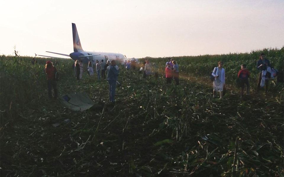 Un avion cu 234 de oameni la bord a aterizat forțat într-un lan de porumb. Imagini dramatice