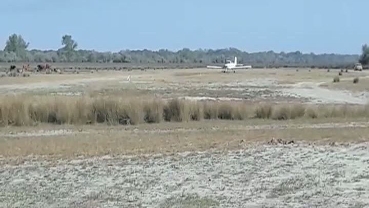Imagini incredibile: Aerodrom ilegal improvizat pe o pășune, în Delta Dunării. Ce spun autoritățile