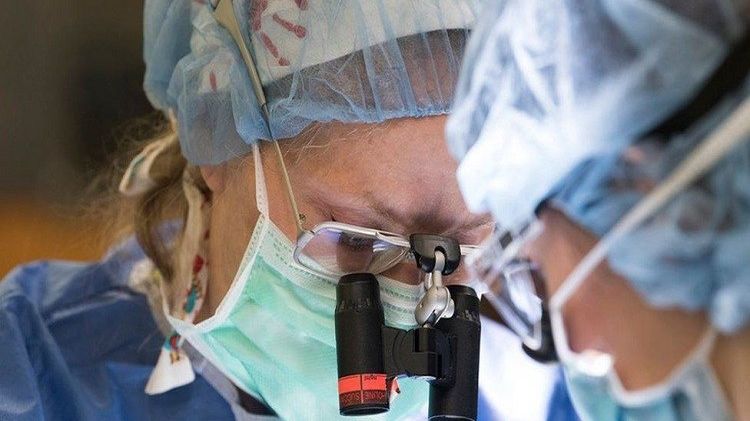 Atlas de anatomie realizat de un medic nazist, folosit și în prezent de chirurgi