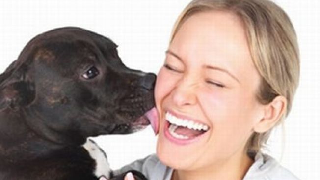 De ce se bucură cățeii când își văd stăpânul. Răspunsul te va uimi