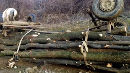 Tragedie la Mihăești. A murit după ce au căzut lemnele dintr-o căruță peste el