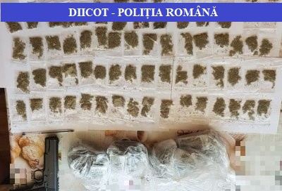 Şapte persoane au fost reţinute de procurorii DIICOT pentru trafic de etnobotanice