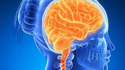 Cea mai bizară legătură între sânge și inteligență. Nu te așteptai la așa ceva