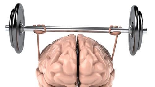 Oamenii de știință au descoperit care este cea mai bună metodă prin care îți poți antrena creierul