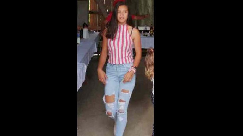 O fată de 13 ani a dispărut fără urmă din Alba. Căutări ale Poliției