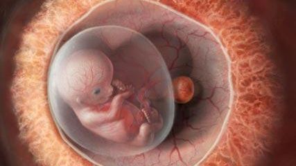 Specialiștii avertizează asupra experimentelor genetice care vor fi făcute pe copii, în viitor