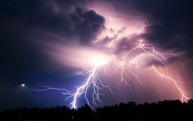 Incident șocant în Grădina Botanică din Sydney: 4 persoane au ajuns la spital după ce au fost lovite de fulger