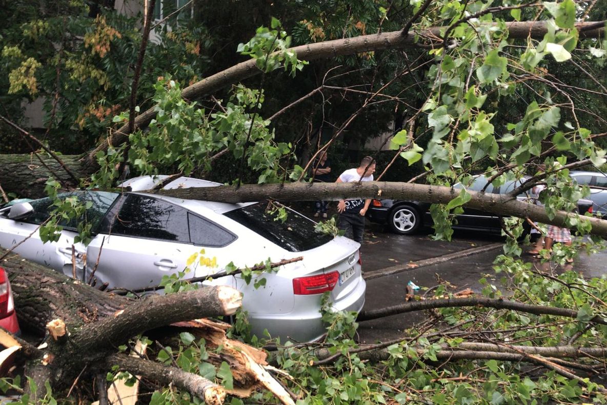 Dezastru pe litoral. Furtuna a doborât copaci, a smuls acoperișuri și a inundat străzi