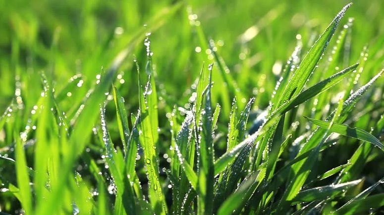 Alertă meteo: temperaturile scad brusc. Se anunță schimbări dramatice. Prognoza pe o lună